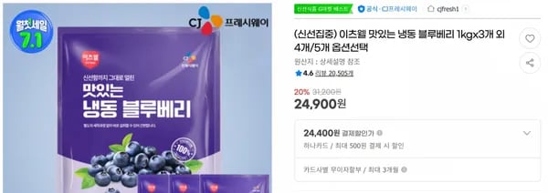 이츠웰 맛있는 냉동 블루베리 1kgx3개 외 4개/5개 옵션선택 < 24,900원 / 무료 배송 >