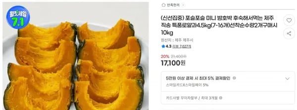 포슬포슬 미니 밤호박 후숙해서먹는 제주직송 특품로얄과4.5kg(7-16개)선착순수량2개구매시10kg < 17,100원 / 무료 배송 >