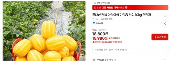 국내산 경북 아삭아삭 가정용 참외 10kg 랜덤과 < 15,980원 / 무료 배송 >