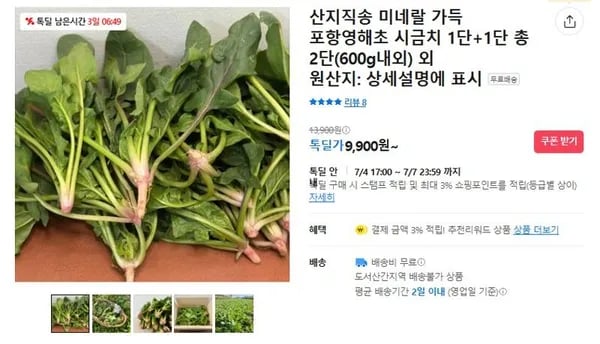 산지직송 미네랄 가득 포항영해초 시금치 1단+1단  (9,900원/무료)