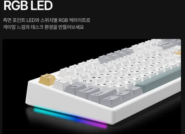 프리플로우 archon F1 PRO TKL 8K 유선 4K 무선 기계식 키보드 (74,900원) (무료)