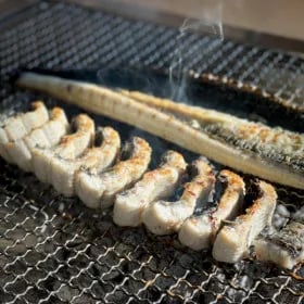 지마켓)(신선집중) 브라더팜 당일손질 고창 풍천 민물장어 1kg 손질후600g내외 소스2종+생강채 자포니카 28,600원 (무베)