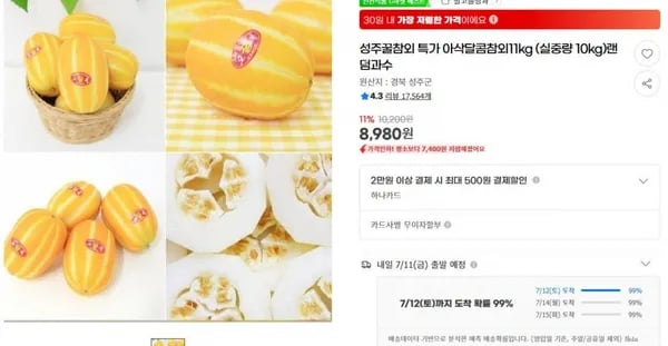 지마켓)성주꿀참외 특가 아삭달콤참외11kg (실중량 10kg)랜덤과수 8,980원(무료배송)