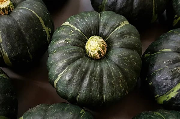 미니밤호박 특품 2kg (8,300원/무배)