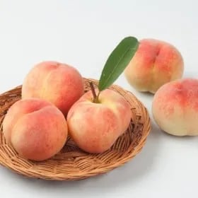 첫수확 말랑이 털복숭아 4kg / 21~24과 < 18,900원 / 무료 배송 >