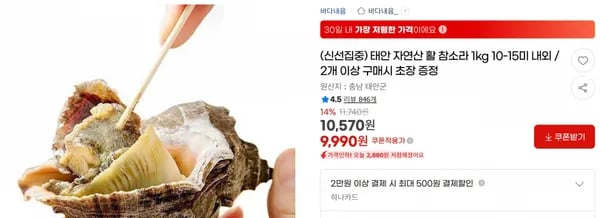 태안 자연산 활 참소라 1kg 10-15미 내외 / 2개 이상 구매시 초장 증정 < 9,990원 / 무료 배송 >