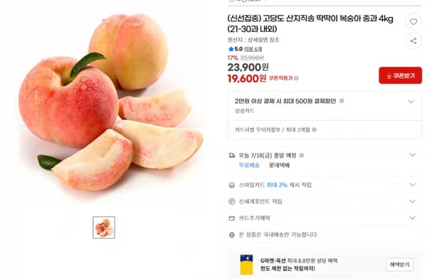 지마켓)(신선집중) 고당도 산지직송 딱딱이 복숭아 중과 4kg (21-30과 내외) 19,600원(무배)