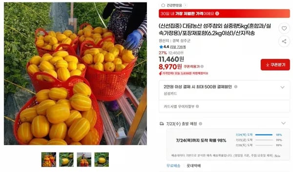 다담농산 성주참외 실중량5kg(혼합과/실속가정용)/포장재포함(6.2kg이상)/산지직송 < 8,970원 / 무료 배송 >