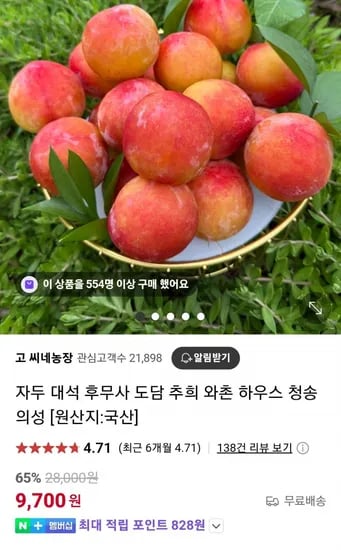 의성옥자두 2kg (9,700원 / 무료)