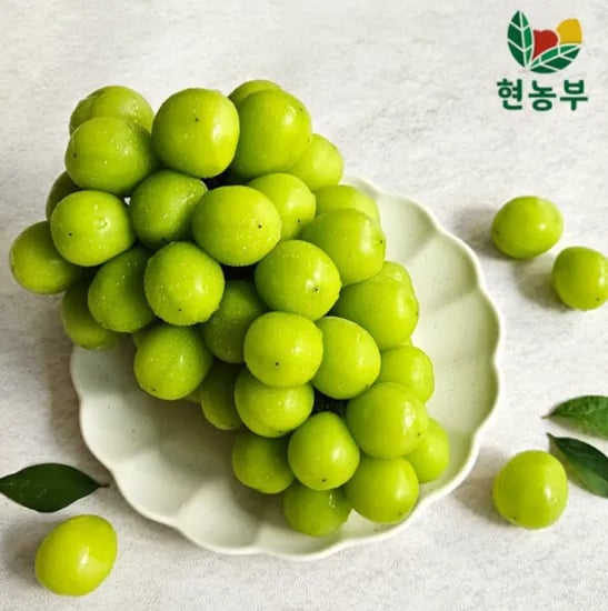 지마켓) 7%+6%/ 고당도 샤인머스켓 500g+500g(총 1kg 내외) (950g~1.1kg) 산지직송 (15250원/무료)