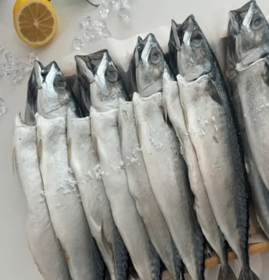 지마켓) 부산 자반고등어 10미 대짜 간고등어/ 30cm - 33cm 내외/손질생선 구이조림/국산 자반고등어/밥반찬 (25,750원/무료)
