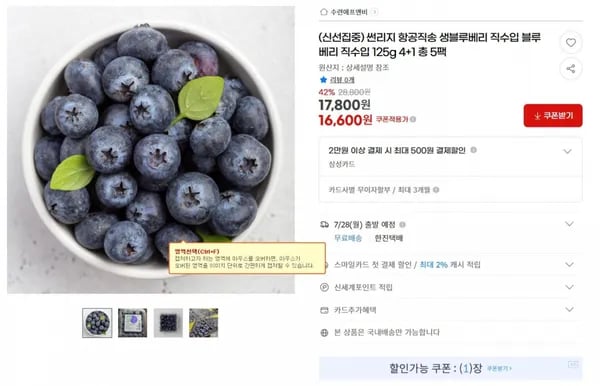 썬리지 항공직송 생블루베리 직수입 블루베리 직수입 125g 4+1 총 5팩 < 16,600원  / 무료 배송 >
