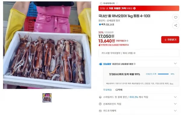 국내산 활 채낚오징어 1kg 통찜 4~10미 < 13,640원  / 무료 배송 >