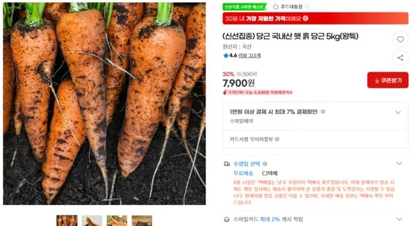 신선집중 당근 국내산 햇 흙 당근 5kg