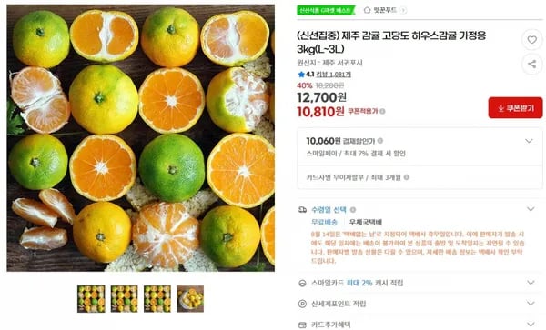제주 감귤 고당도 하우스감귤 가정용 3kg L~3L