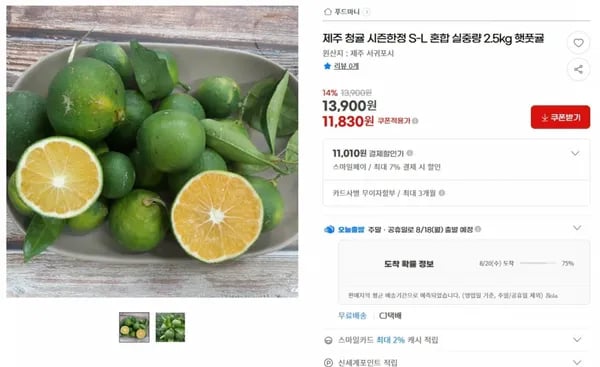 제주 청귤 S-L 혼합 2.5kg