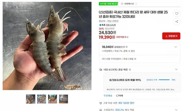 국내산 제철 흰다리 왕 새우 대하 생물 32미 내외