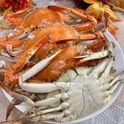 국내산 활 숫꽃게 3kg