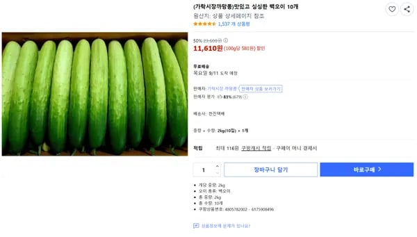 백오이 10개