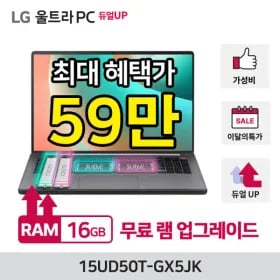 LG 울트라PC 15UD50T-GX5JK 램 16GB SSD 256GB