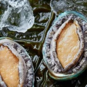 완도 산지직송 삼삼한 활전복 1kg 9-10미 산소포장 2세트구매시 반마리 삼계탕추가