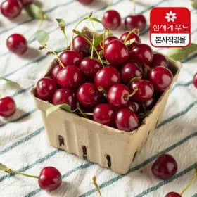 신세계푸드 생체리 750g 약75알