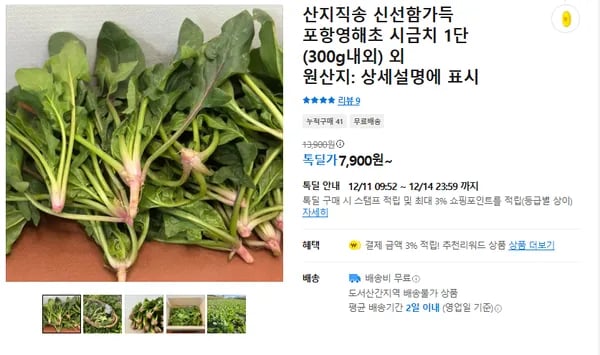 포항영해초 12개