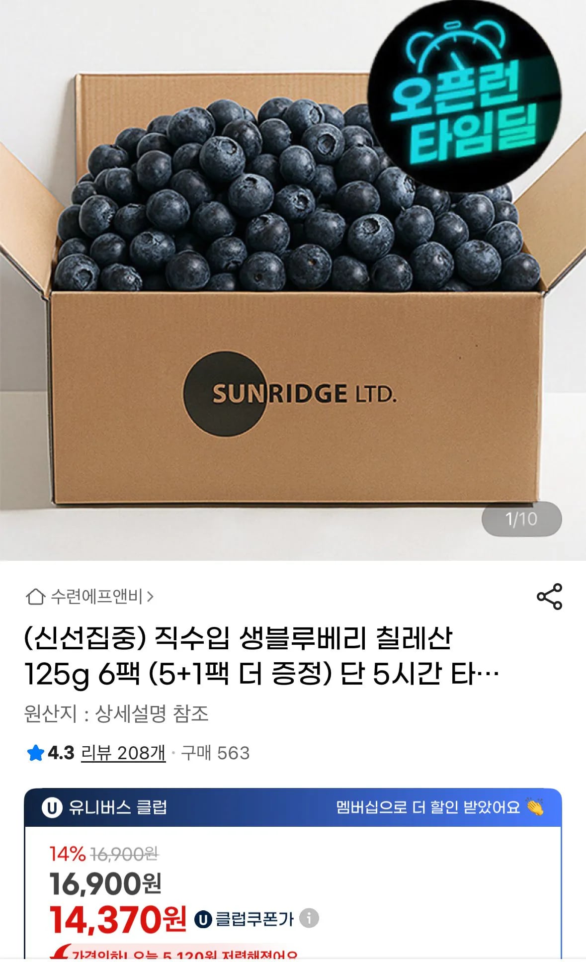 생블루베리 칠레산 125g 6팩 16,900원