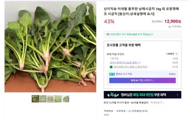남해시금치 1kg