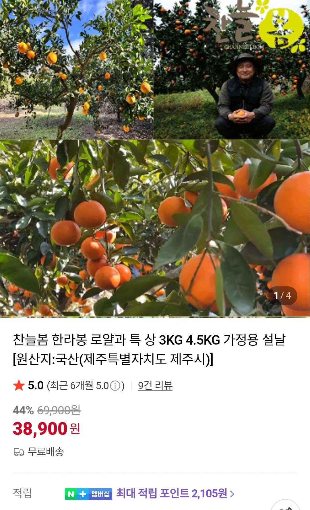 한라봉 레드향 4.5kg 로얄과