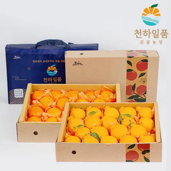 한라봉+천혜향 중대과 5kg (34,500원/무료 배송)