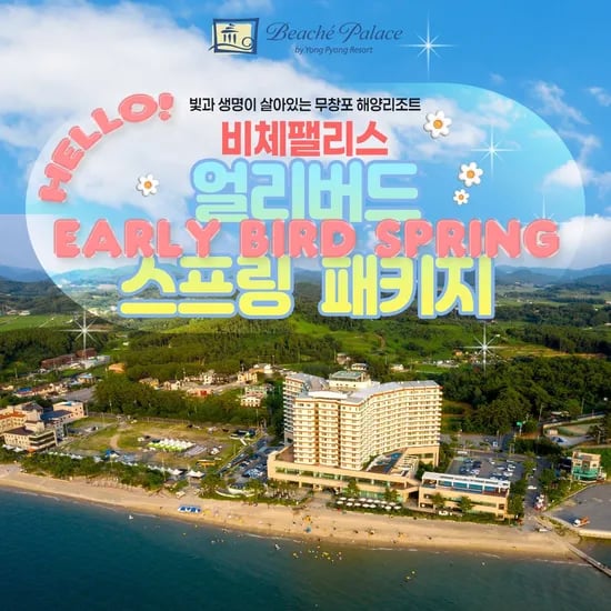 보령 비체팰리스 객실 치맥세트 입장권