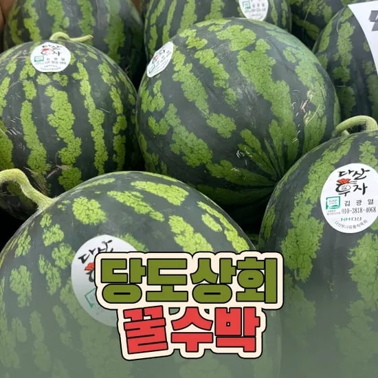 고당도 하우스 꿀수박 7-8kg 12브릭스 이상 13,230원