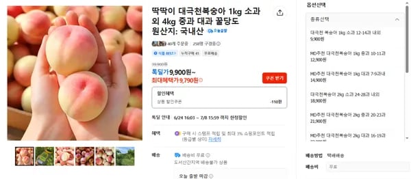 대극천복숭아 1kg