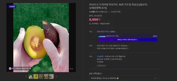 아보카도 10과
