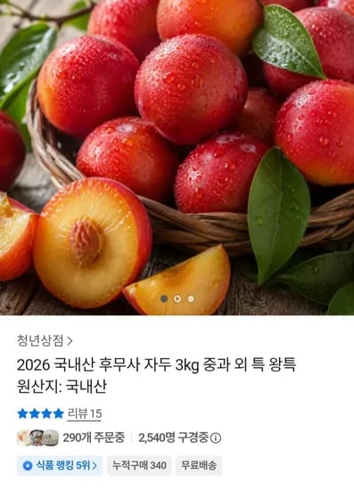 국내산 후무사 자두 3kg 중과 (15,790원) (무료)