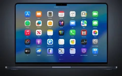 BuhoLaunchpad 기간 한정 무료