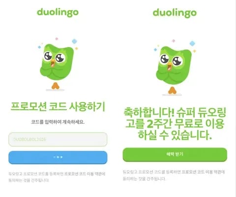 듀오링고 슈퍼 2주 이용권