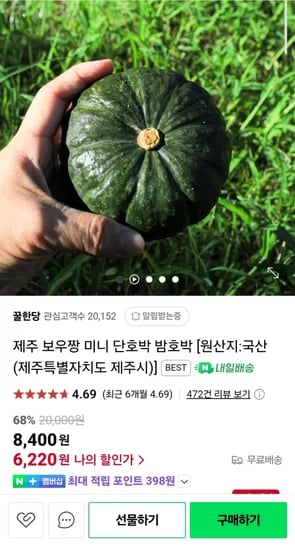 제주 보우짱 미니 단호박 밤호박 5kg 무배