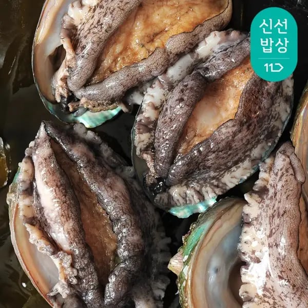 완도 참 전복 왕특대활전복 8~9미 1kg