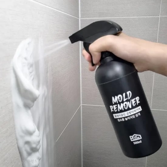 플레이클린 초강력 곰팡이 제거제 500ml