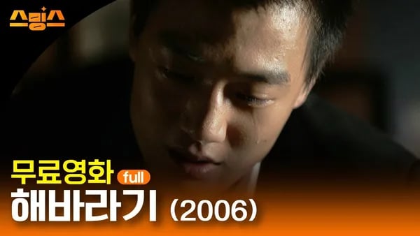 해바라기