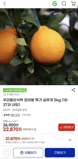 한라봉특가 5kg
