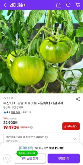 부산 대저 짭짤이 토마토 19,470원