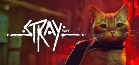 Stray 40% 할인