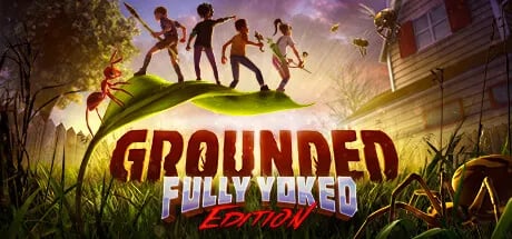 Grounded 50% 할인