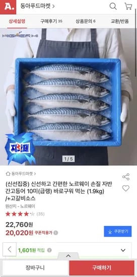 간편한 노르웨이 손질 간고등어 10미 (급랭, 1.9kg) + 고갈비소스 외 다양