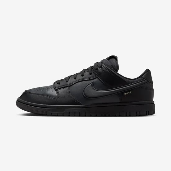 나이키 덩크 로우 GORE-TEX 13만원~