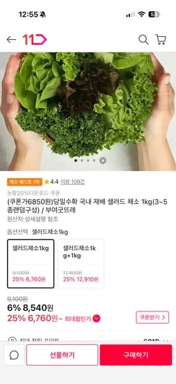 5종 샐러드 채소 1kg