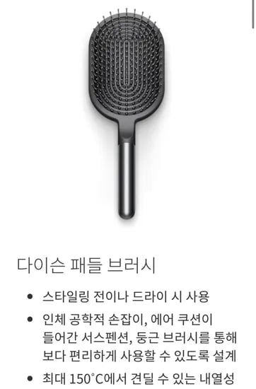 다이슨 패들브러쉬